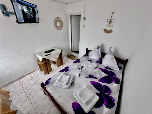 Casa Viorica 3